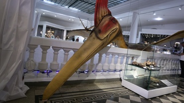 Cum arată cel mai mare animal zburător din lume