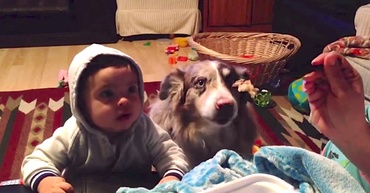 Cățelul care spune ‘Mama’: Video-ul care a devenit viral pe Internet