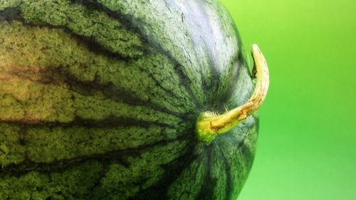 Analizează codița.