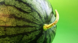 Analizează codița.