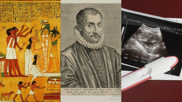 Istoria testului de sarcină, de la egipteni până în zilele noastre
