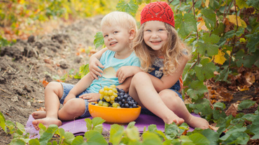 Strugurii în alimentația copilului. Beneficii și rețete