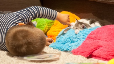 Pentru copil orice, mă rog, aproape orice