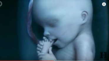 În pântece: 9 luni miraculoase transpuse în doar 4 minute (VIDEO)