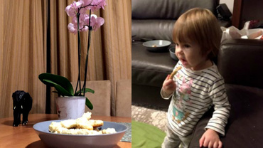 Ce gustări să pregăteşti pentru cei mici în călătorii (3). Săratele cu mărar şi susan