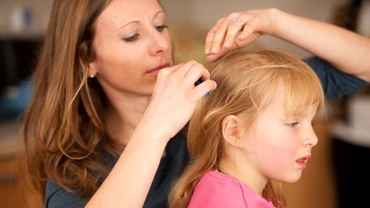 Despre pediculoză, fără rușine! Mituri dezminţite de cercetările ştiinţifice